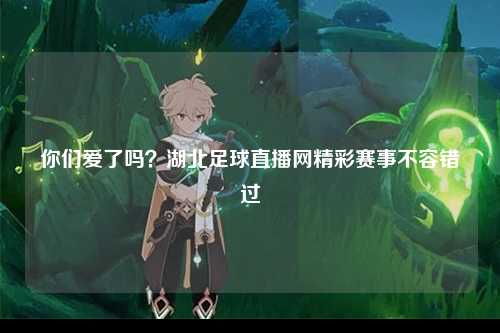 你们爱了吗？湖北足球直播网精彩赛事不容错过