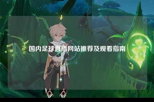 国内足球直播网站推荐及观看指南
