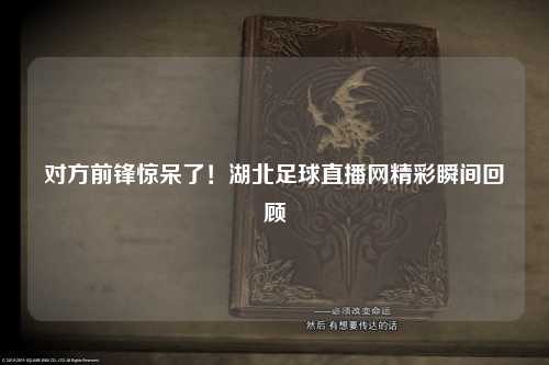 对方前锋惊呆了！湖北足球直播网精彩瞬间回顾