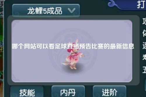 哪个网站可以看足球直播预告比赛的最新信息